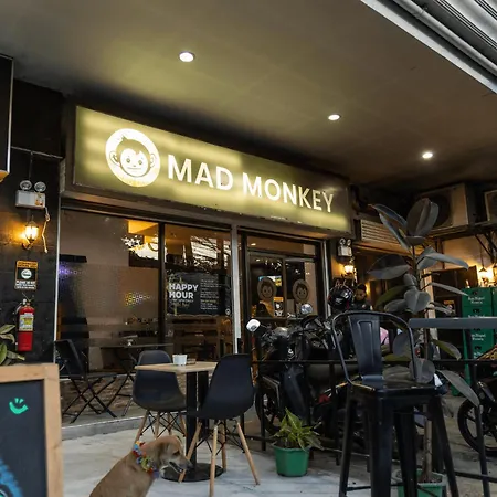 Mad Monkey Cebu City (Adults Only)-3
